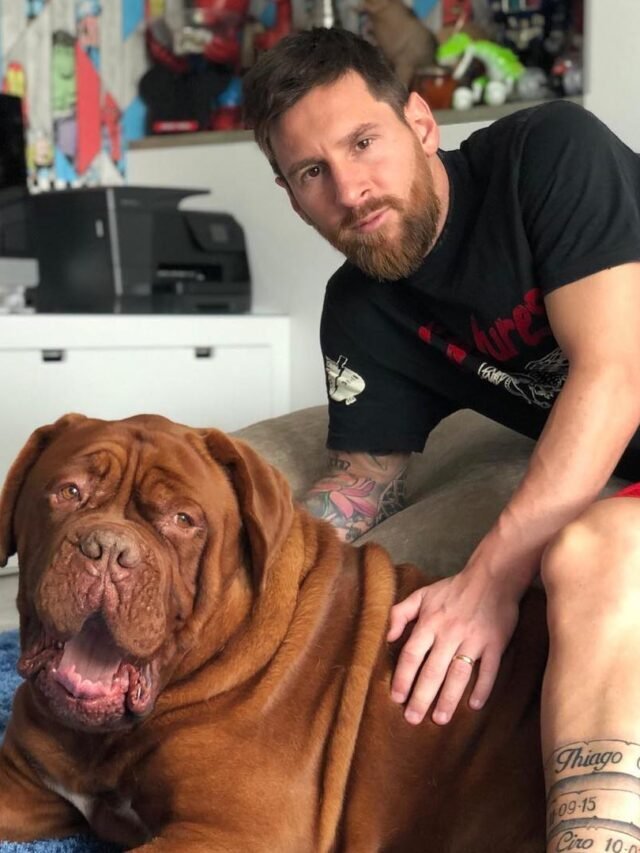 Famous Footballers and Their Dogs